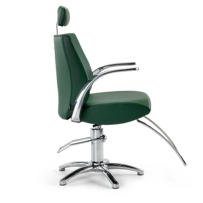 LIONESS REC - Image 4