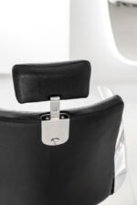 LIONESS REC - Image 8